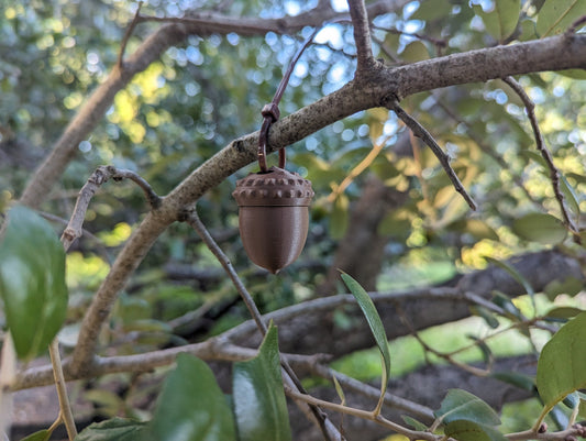 Acorn 3d printed geocache with a with log and zip-tie