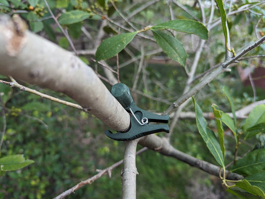 Tree Cricket 3d printed geocaching container with log - ready to be hidden!