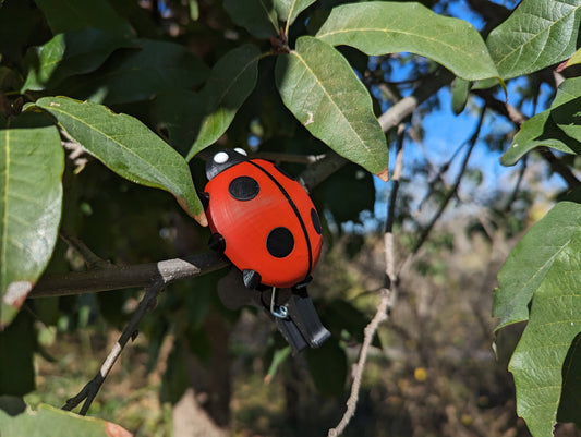 Cute Ladybug 3d printed geocaching container with log and clip - unique geocache ready to be hidden