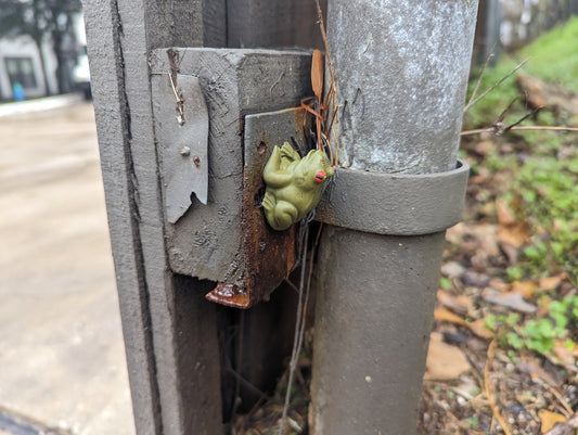 Cute Frog micro or nano geocache - 3d printed geocaching container with log and magnet