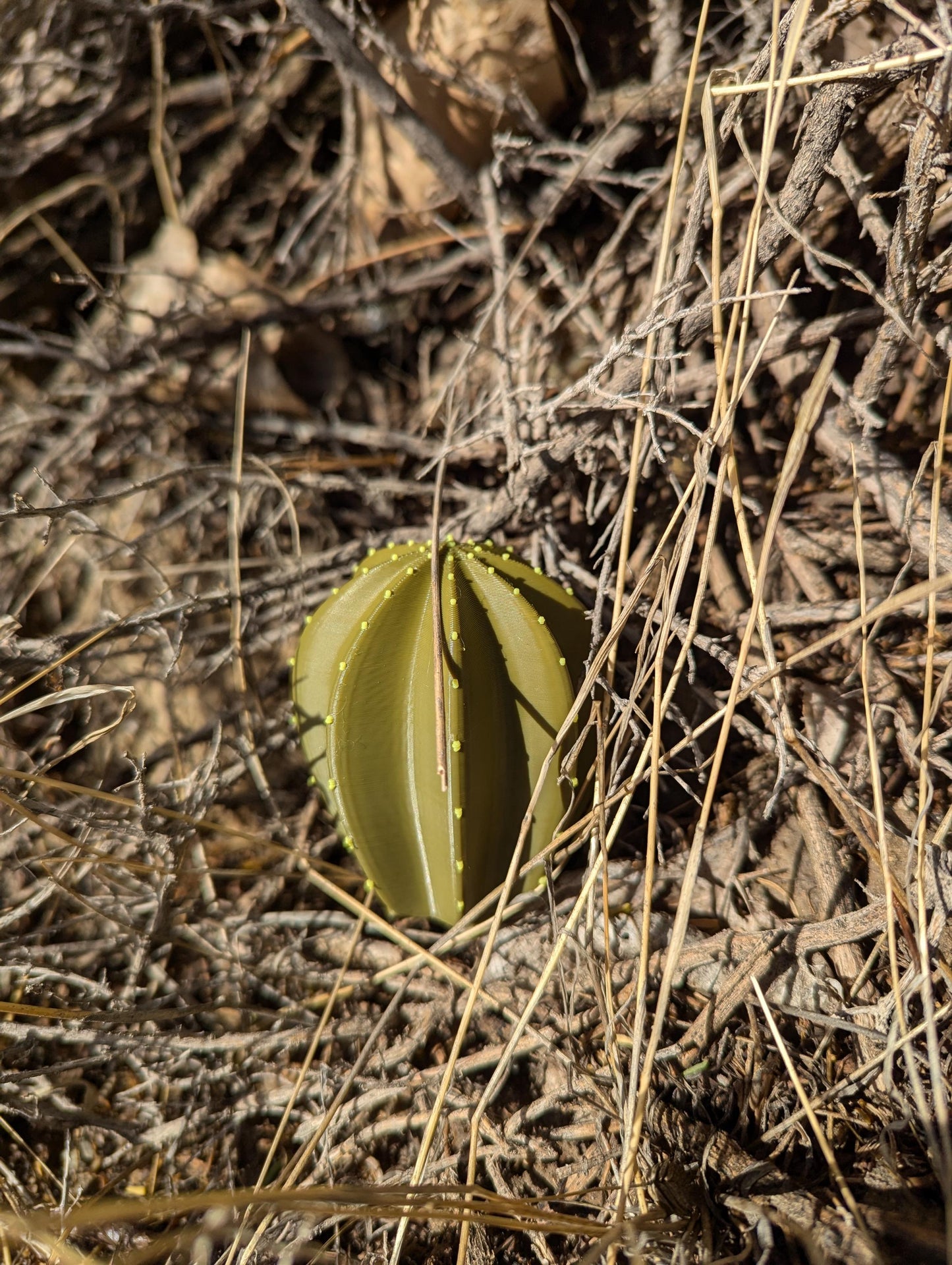 Cactus geocache with log - perfect geocaching container for nature hides! Log included